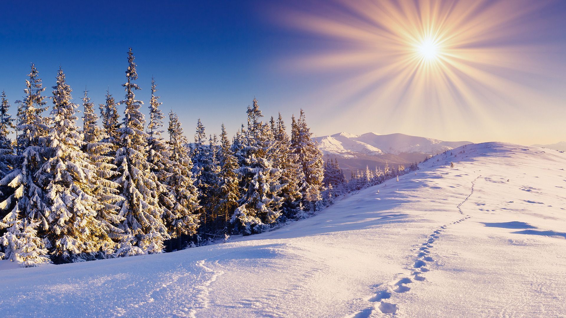 Mountain winter forest wallpapers and images - wallpapers