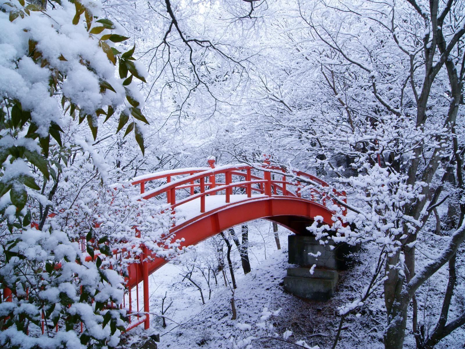 Wallpapers Seasons Winter Nature Image Download