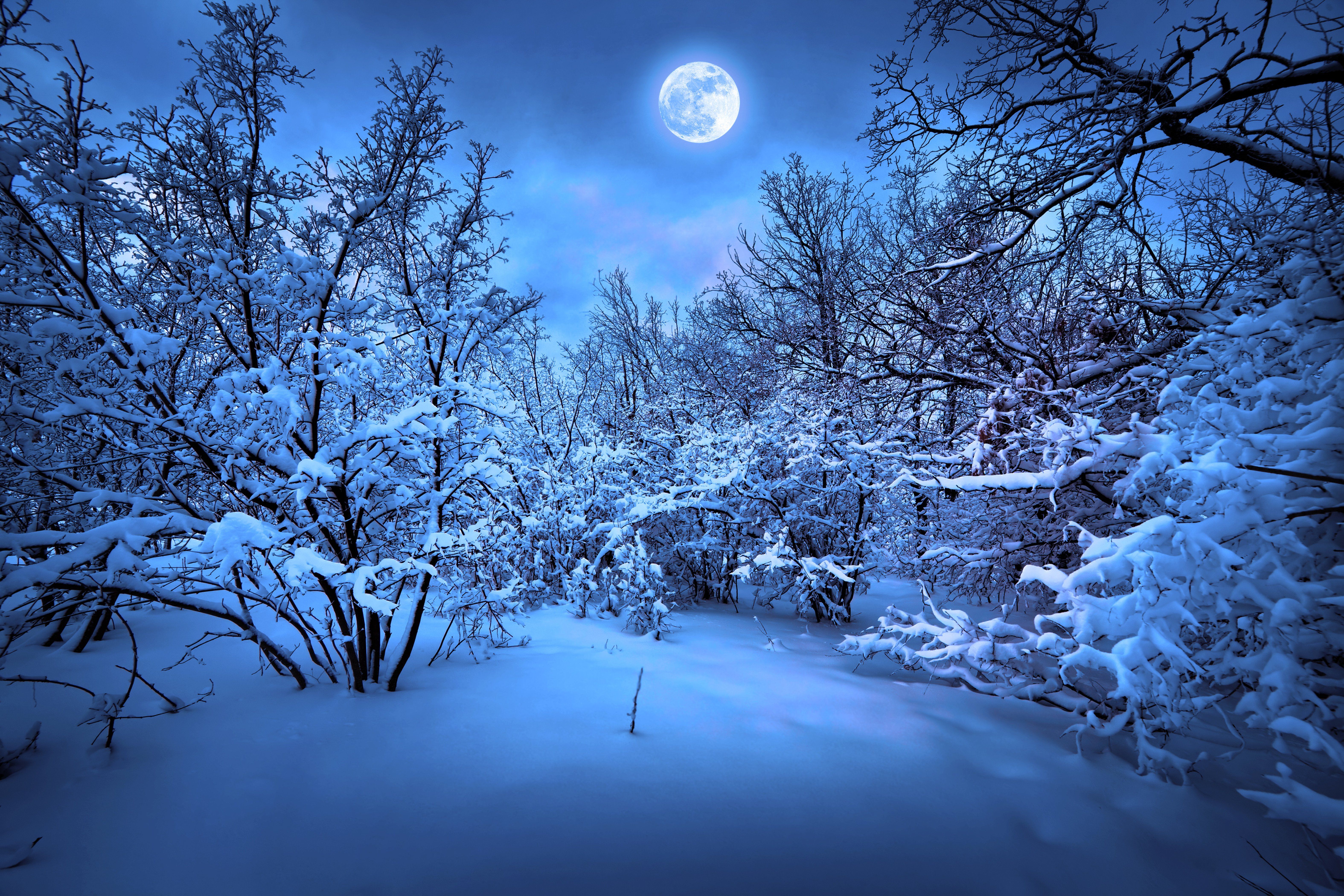Winter Night HD Backgrounds