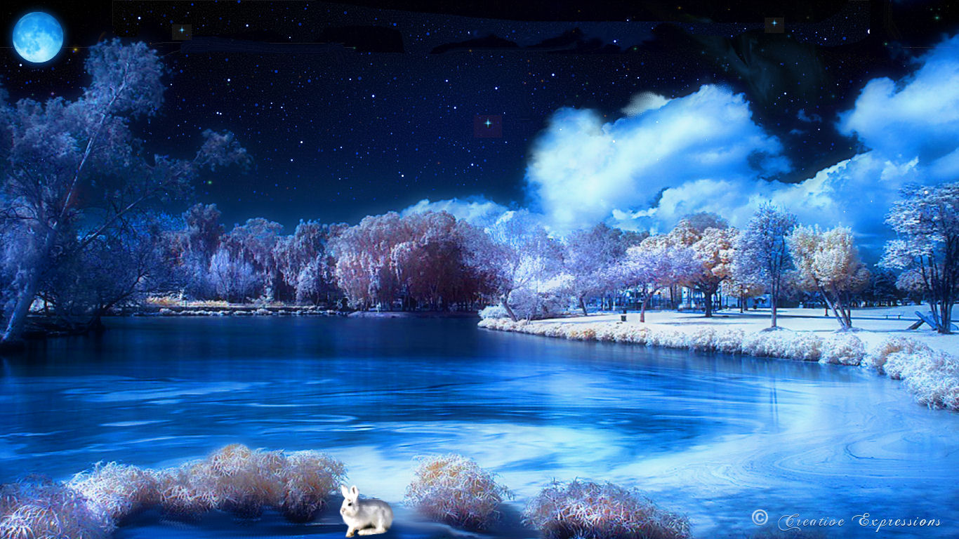 mens studieafgift variabel Winter Night Backgrounds Group (63+)