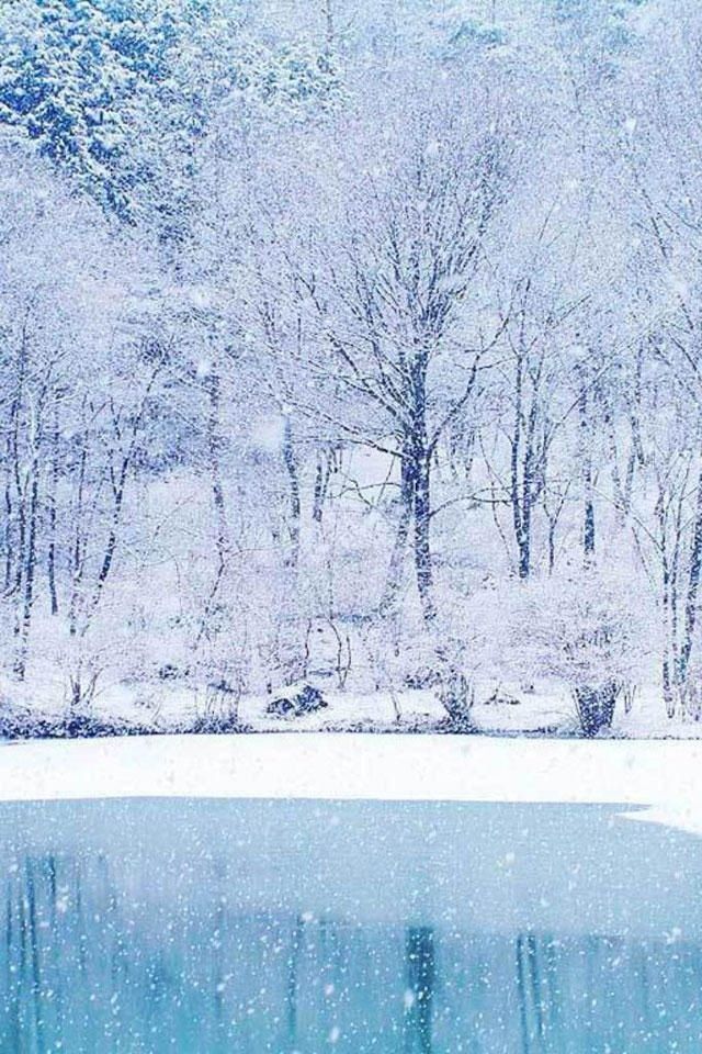 Beautiful Dream Winter Scenery Iphone 4 Wallpapers Free 640x960 Hd