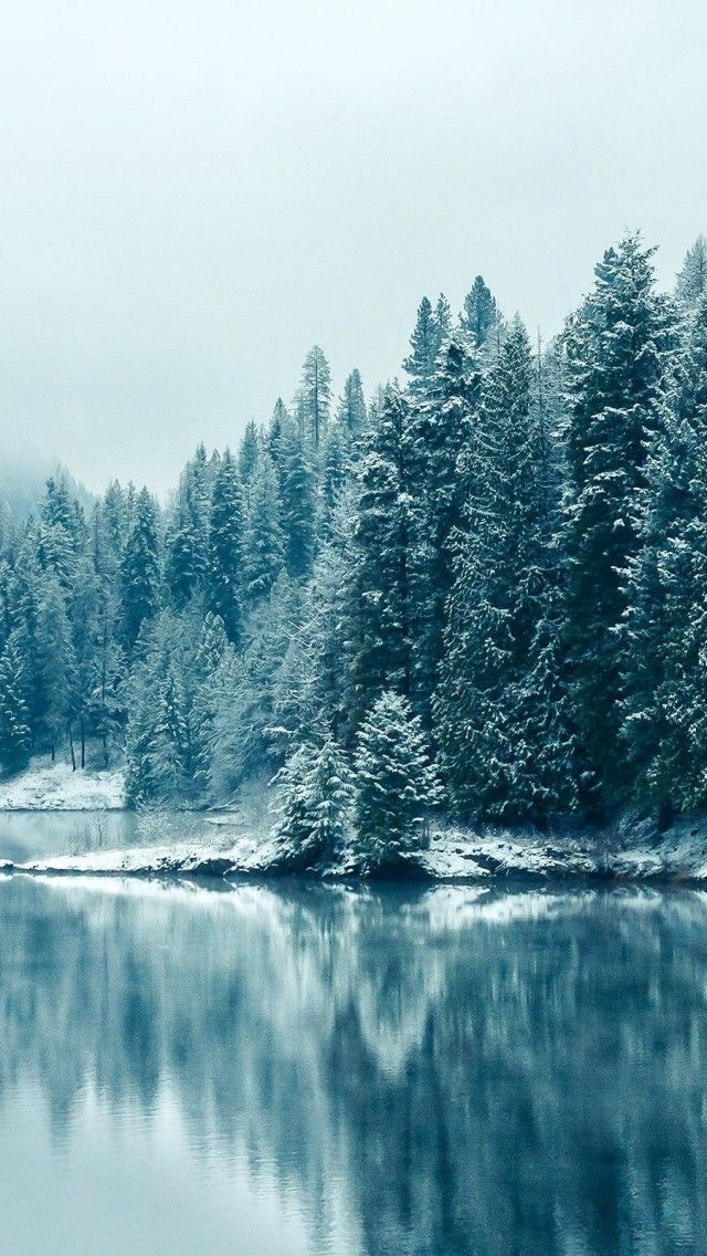 Winter Phone Backgrounds Group 28