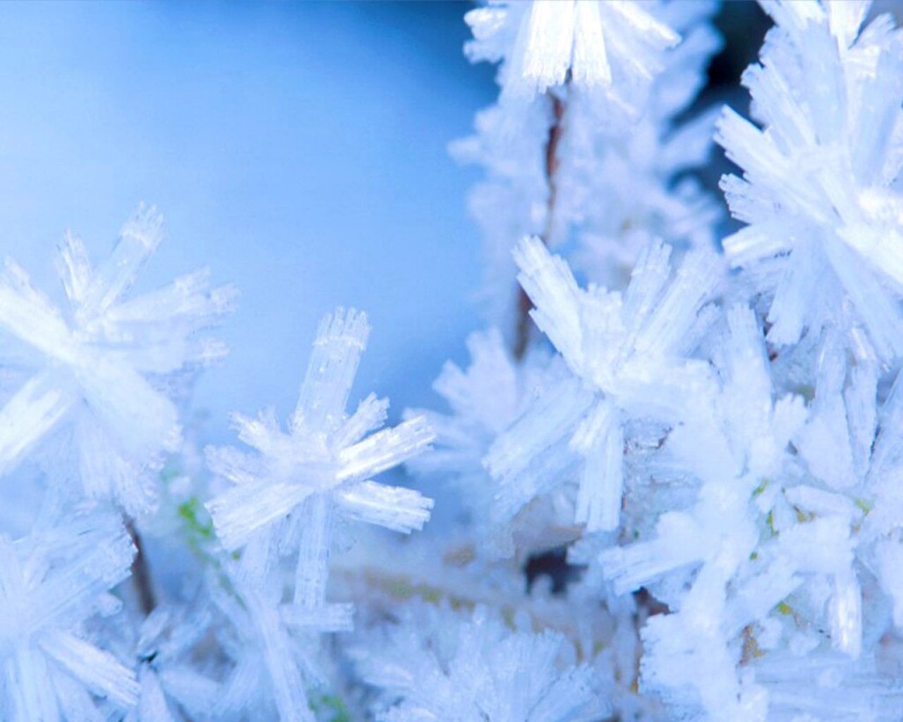 Winter HD Wallpapers and Backgrounds