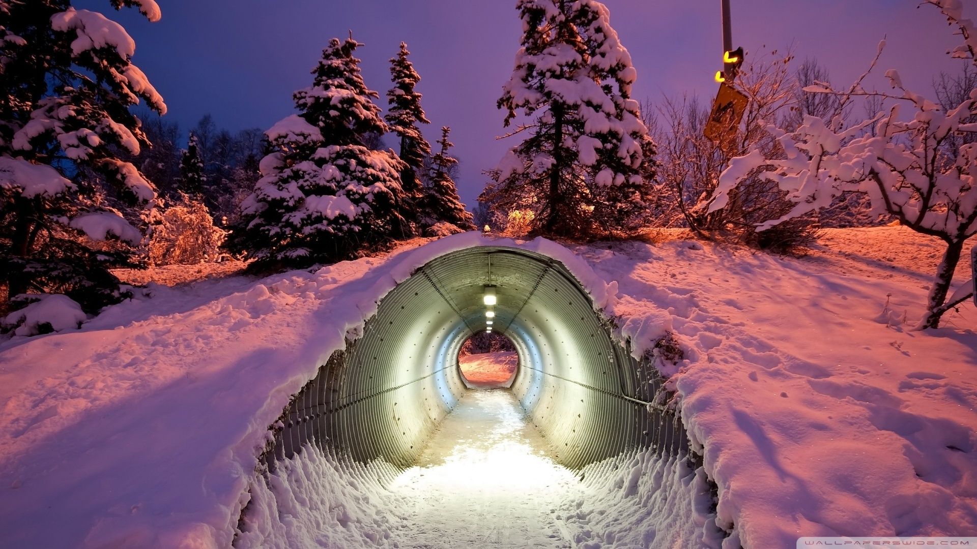 Other Snow Tunnel Winter Lights Trees 1snow Phone Wallpapers for