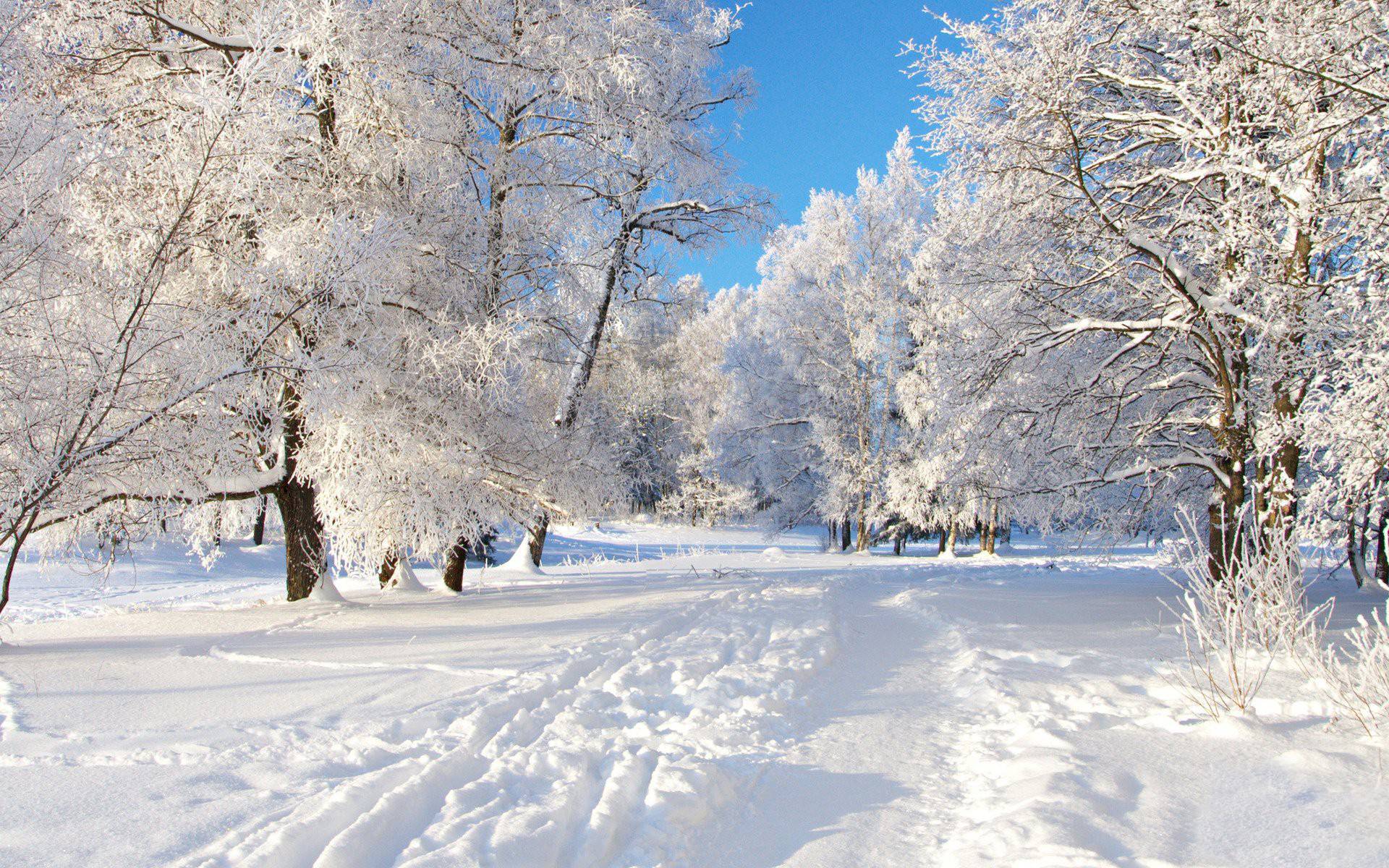 Winter Pictures Wallpapers Free