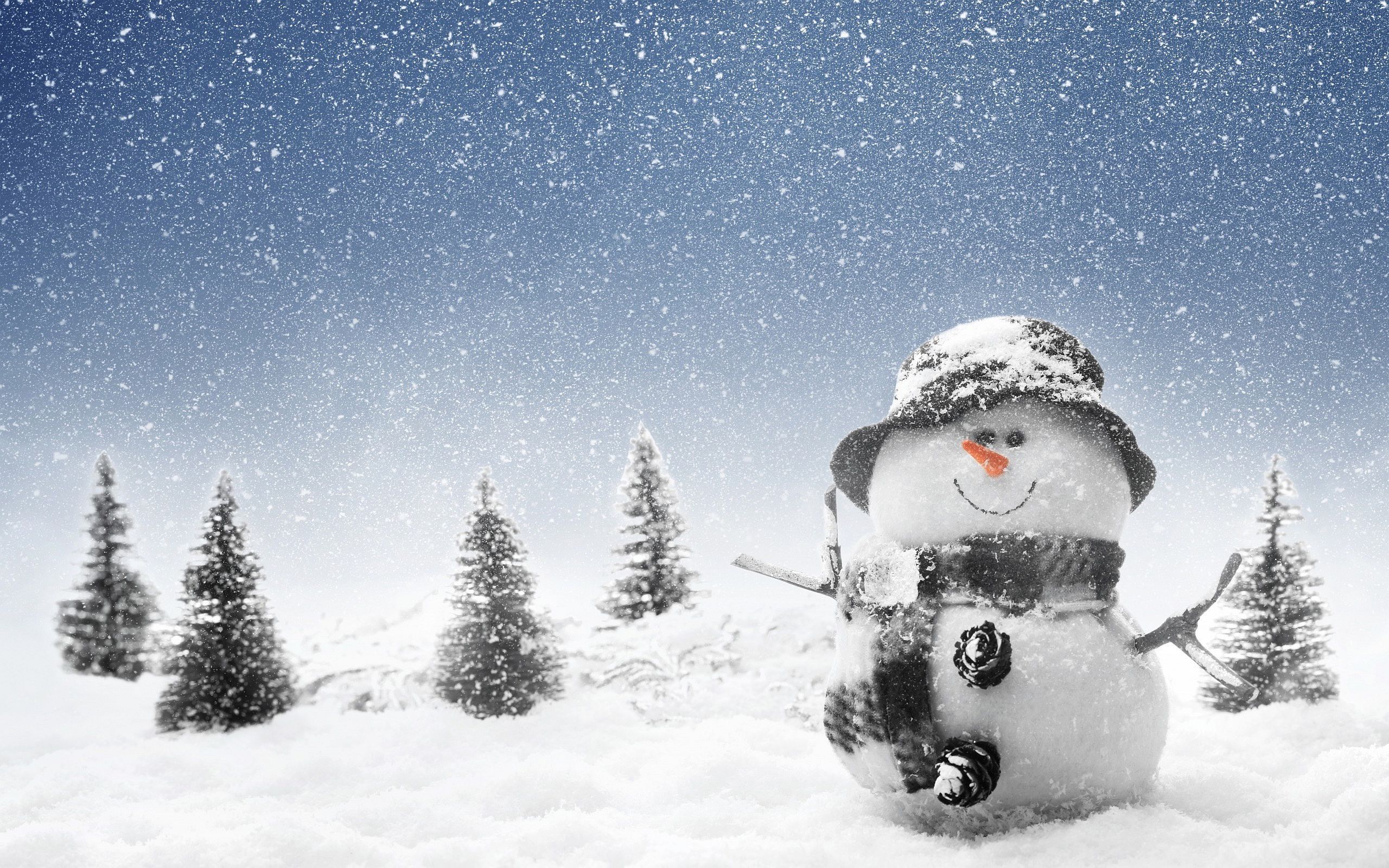 Winter Snowman Wallpapers Pictures