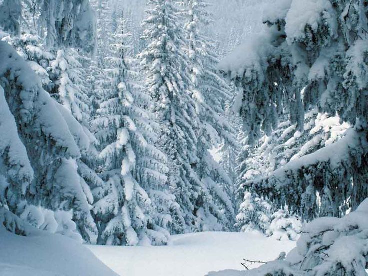 Winter scenes on Pinterest Winter Wallpaper, Snow and Winter