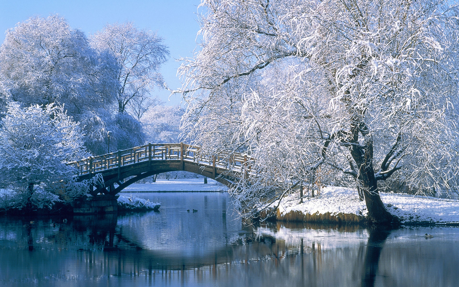 Nature Backgrounds, 404747 Winter Scenes Wallpapers, by Kenny