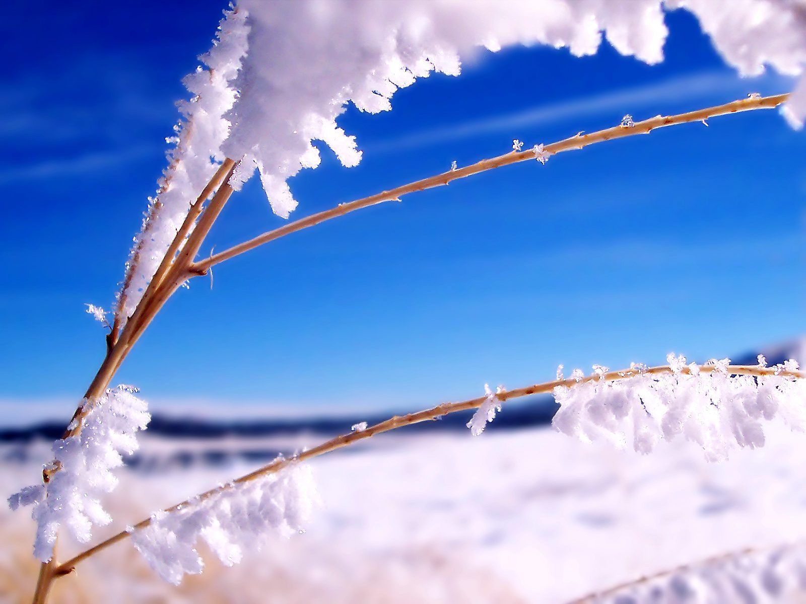 Winter Scenes Backgrounds