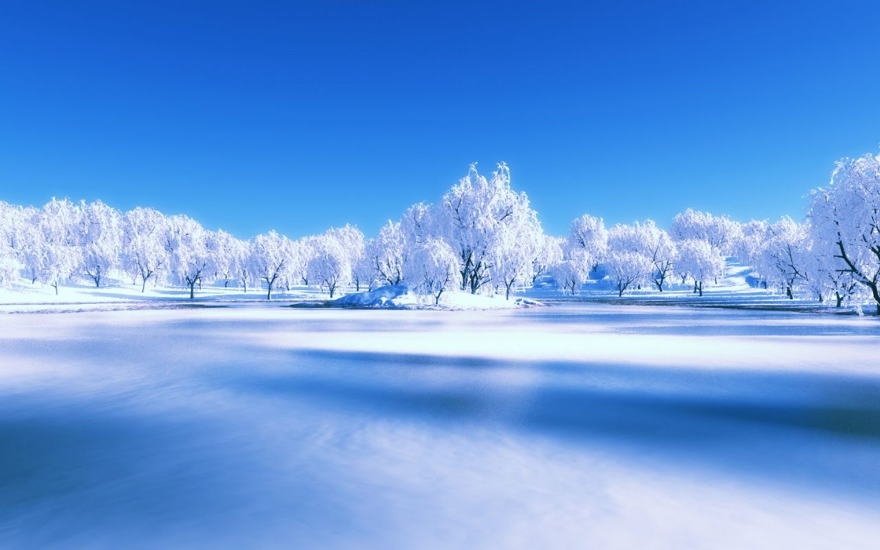 Winter scene photo backdrop - danasrhp.top