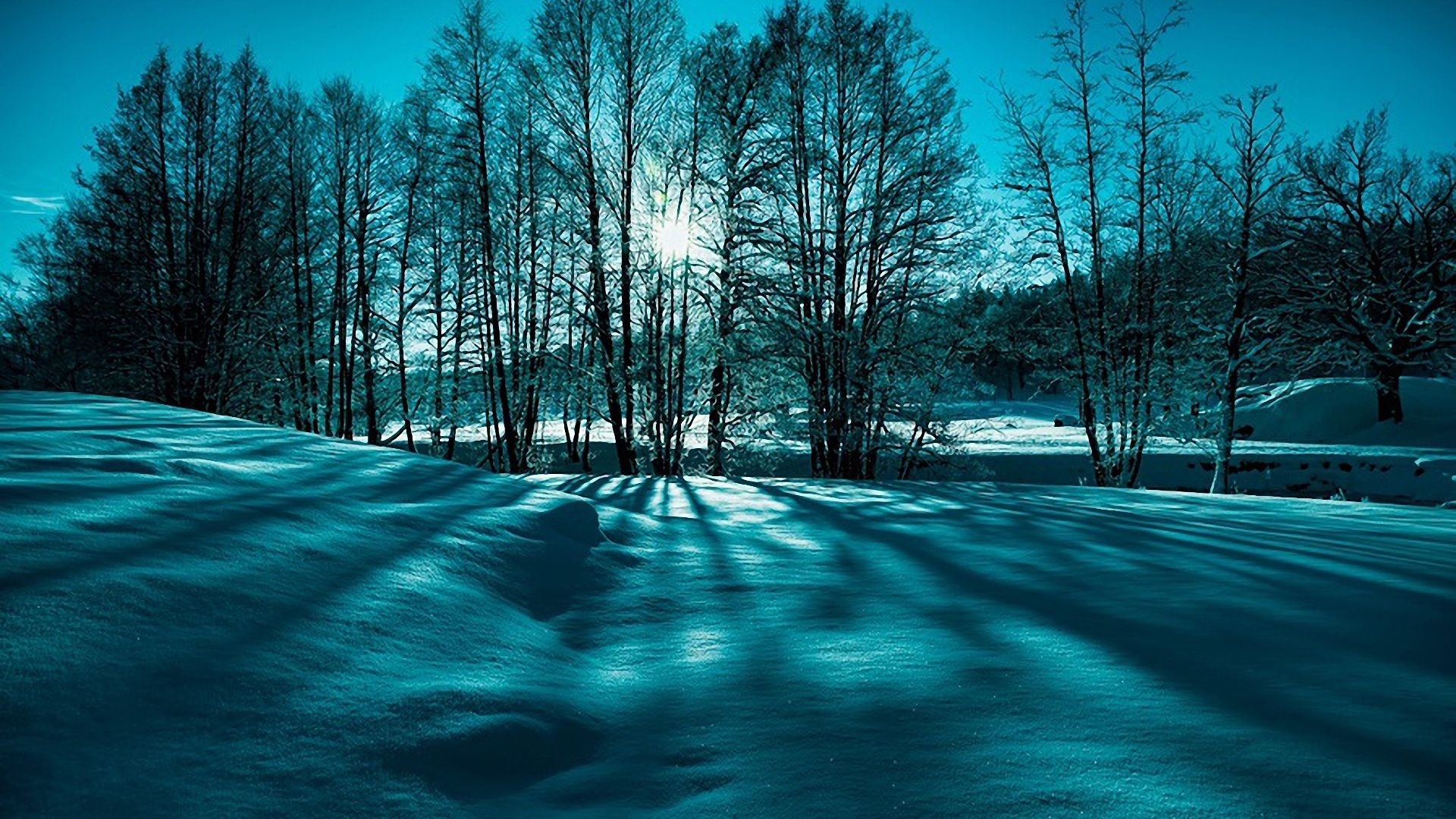 Fantastic Winter Scene In Monochrme HD Desktop Background The Bolt