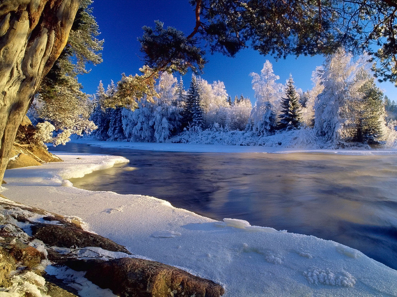 16 wonderful winter landscape Winter Nature Landscape Desktop
