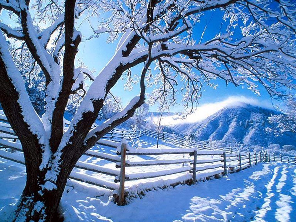 Photos Of Winter Snow Scenes Wallpaper Free Best Hd Backgrounds