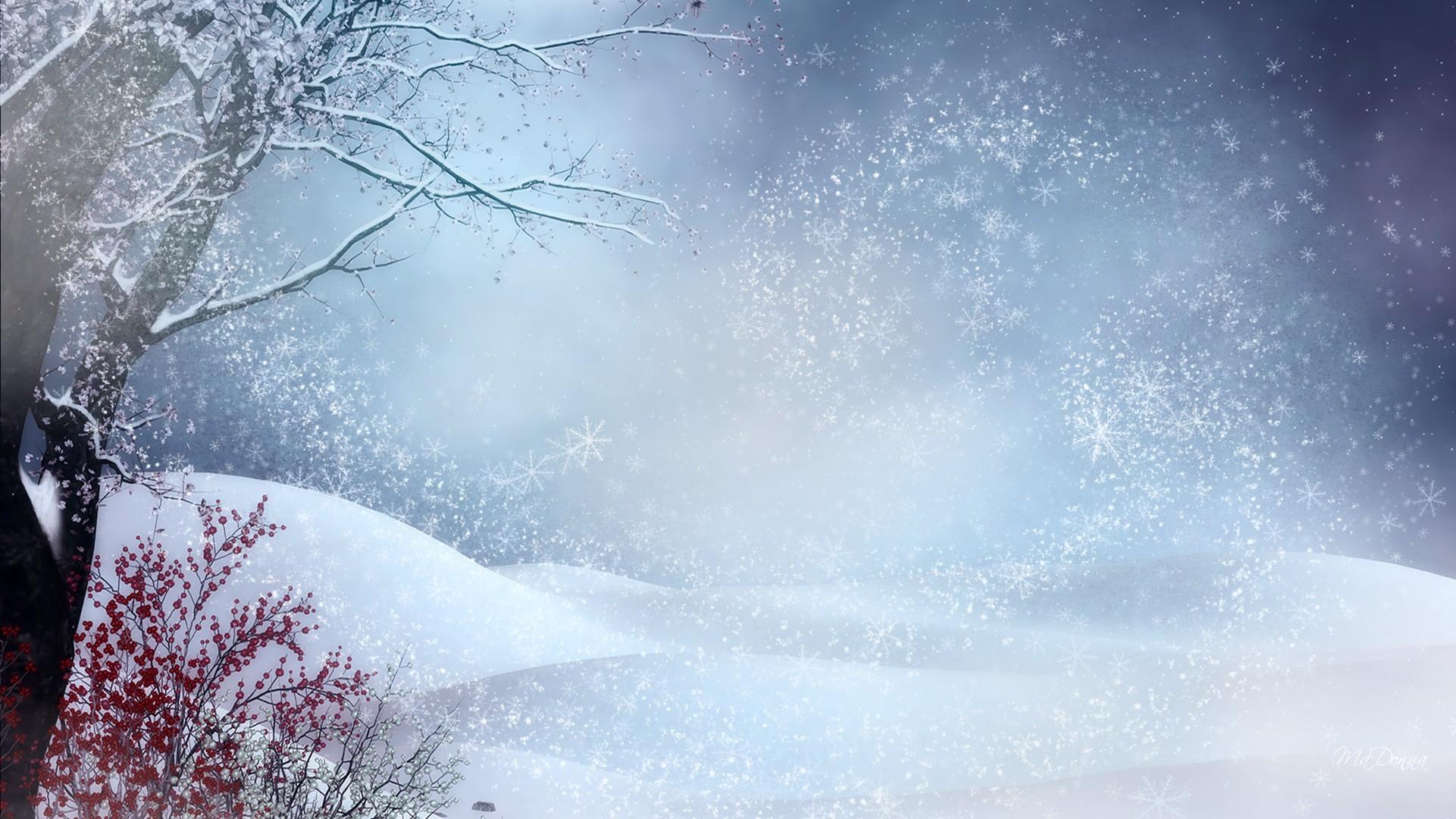 Early Winter Snow HD Wallpaper, get it now