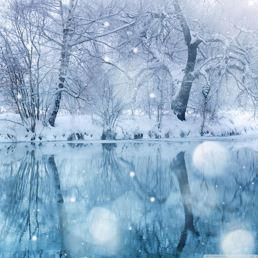 Winter Snowfall HD desktop wallpaper High Definition Mobile