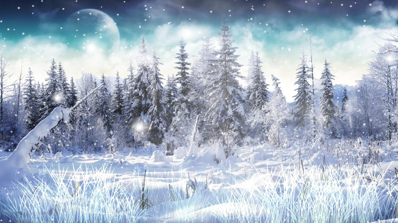 Download Winter Snow Animated Wallpaper