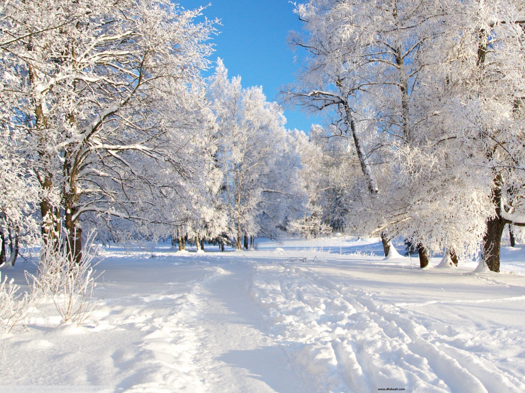 Download Free High Definition Winter Wallpapers Hd Wallpapers
