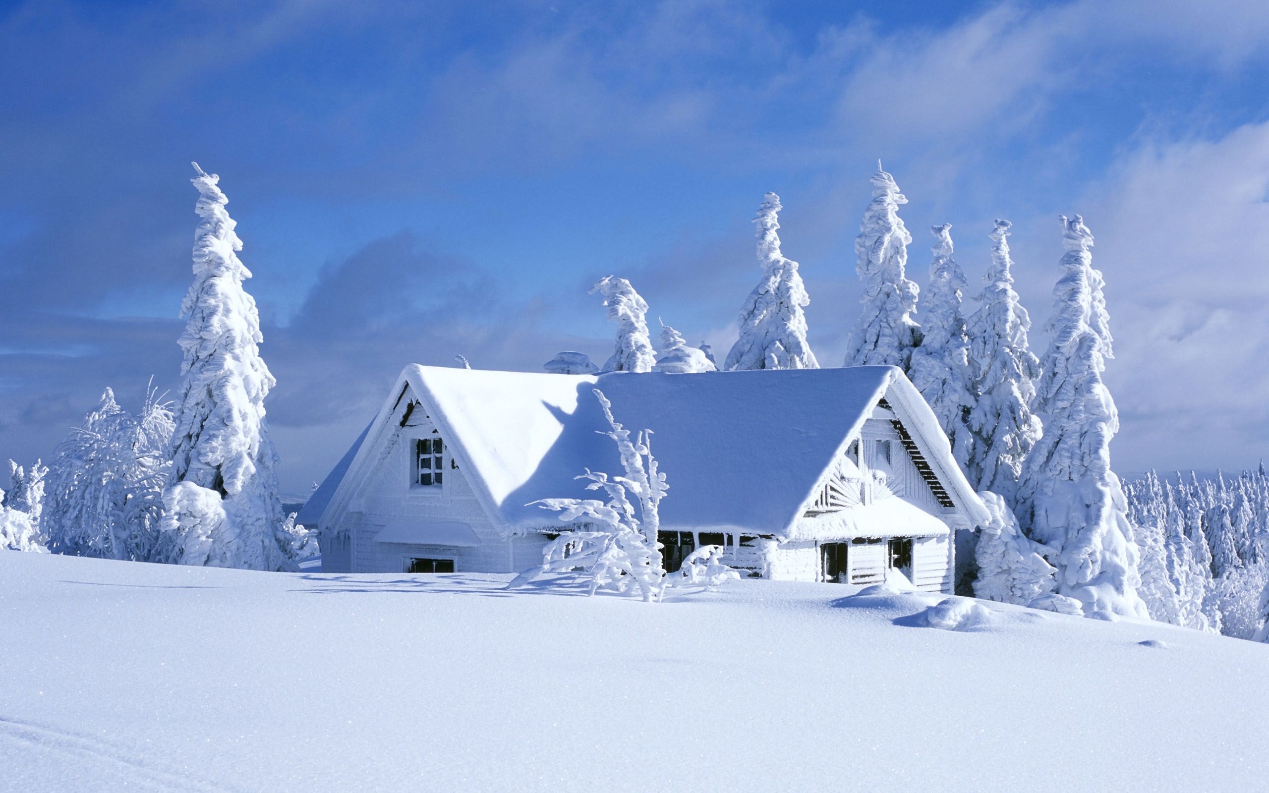 35 Beautiful HD Winter Backgrounds