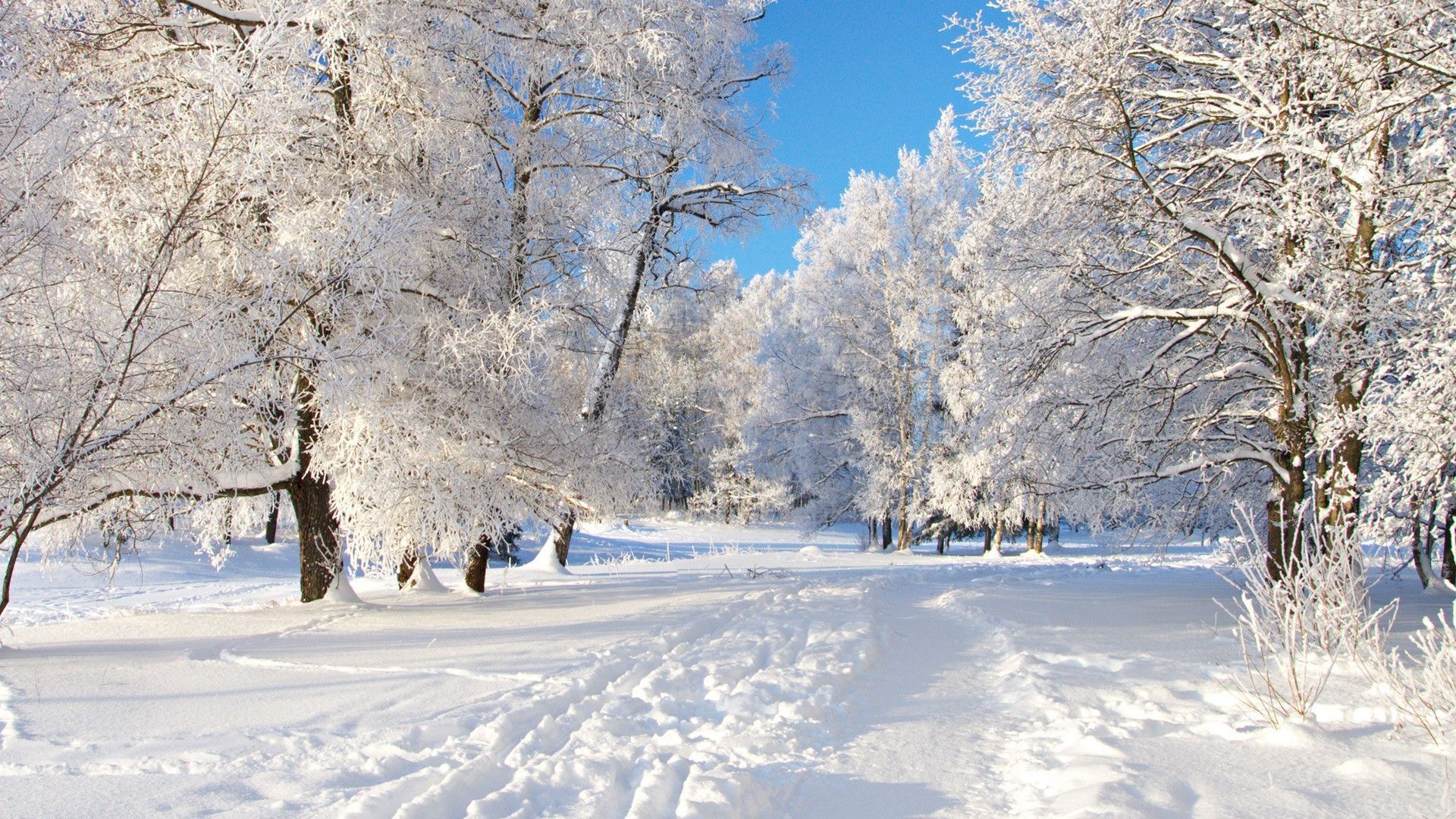 Winter Path HD Wallpapers - HD Wallpapers Backgrounds of Your Choice