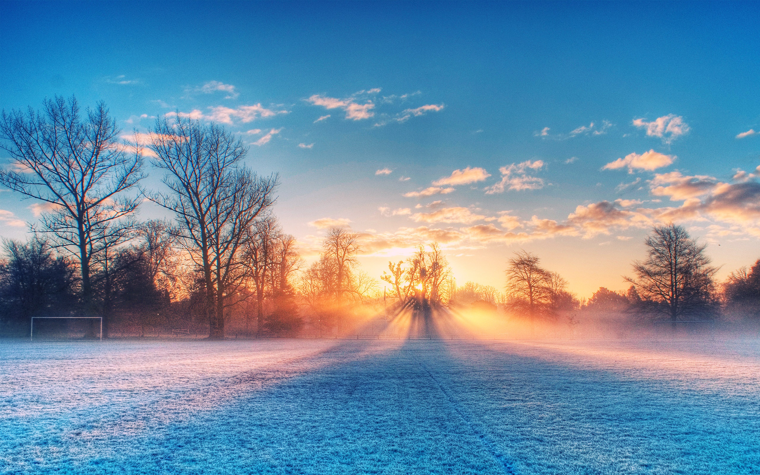 A Frosty Winter Scenery - HD Wallpapers Widescreen - 2560x1600