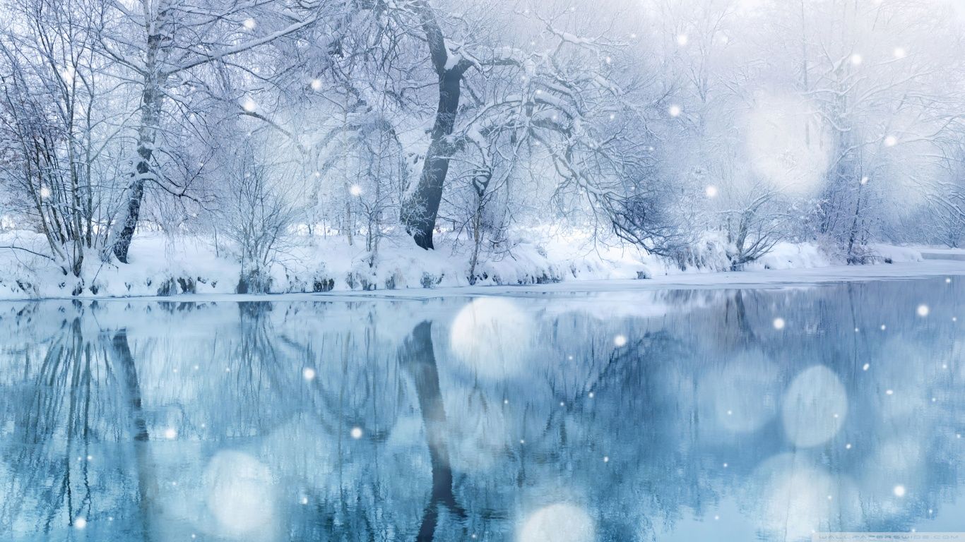Winter Snowfall HD desktop wallpaper High Definition Mobile