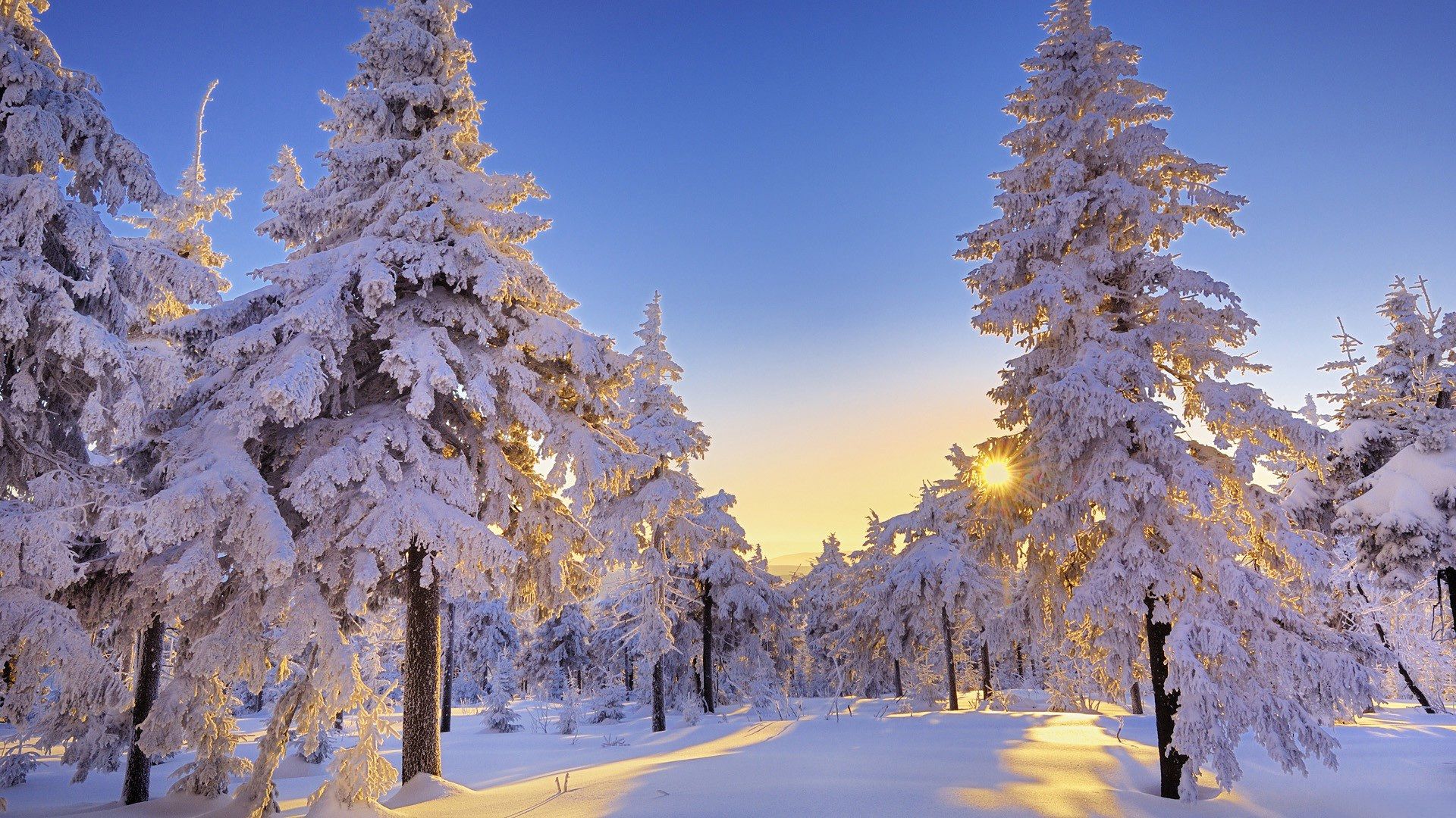 Winter Wonderland Desktop Wallpaper - HD Wallpapers Backgrounds of