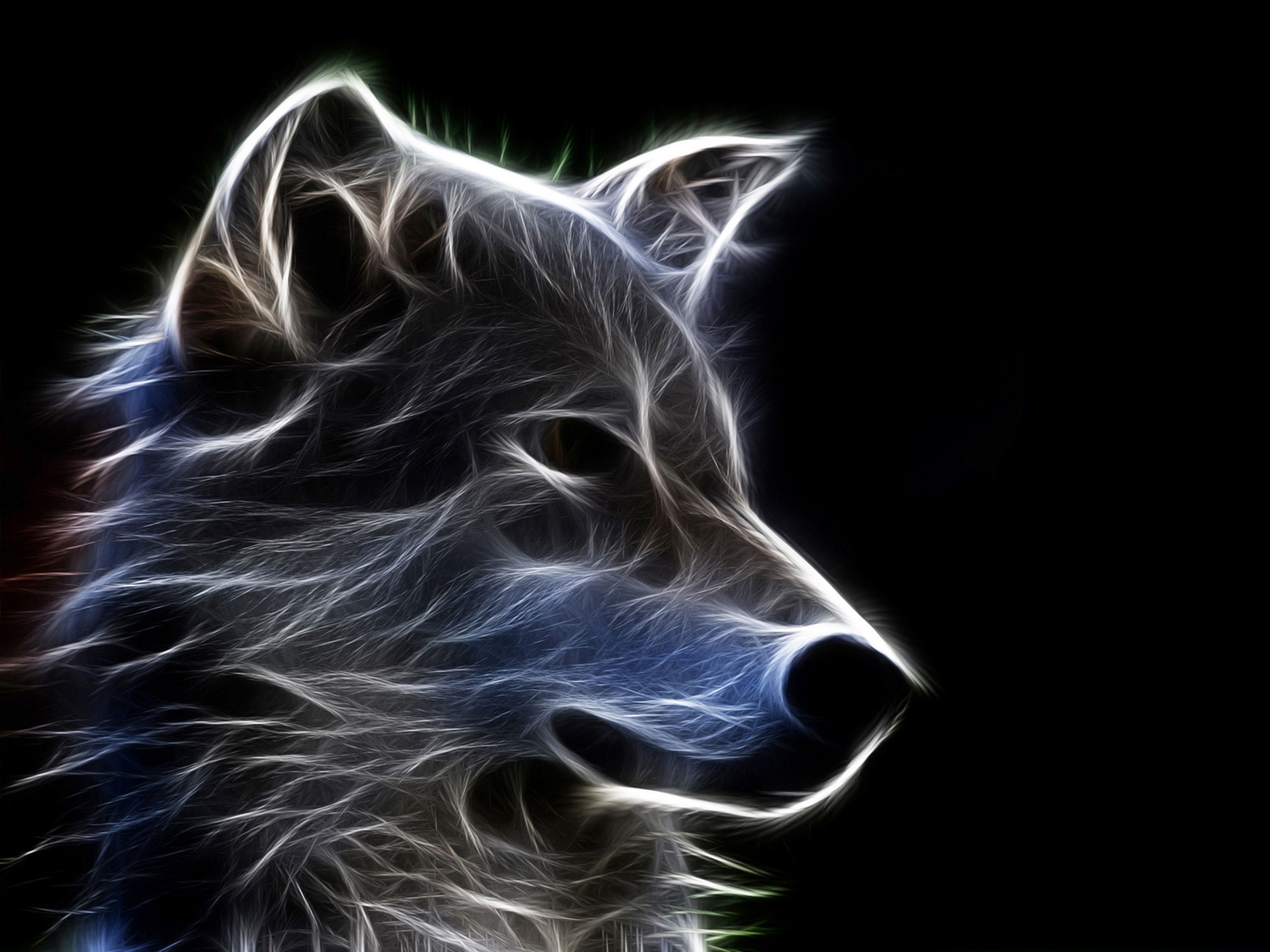 Insanely detailed colorful alpha wolf  AI Generated Artwork  NightCafe  Creator