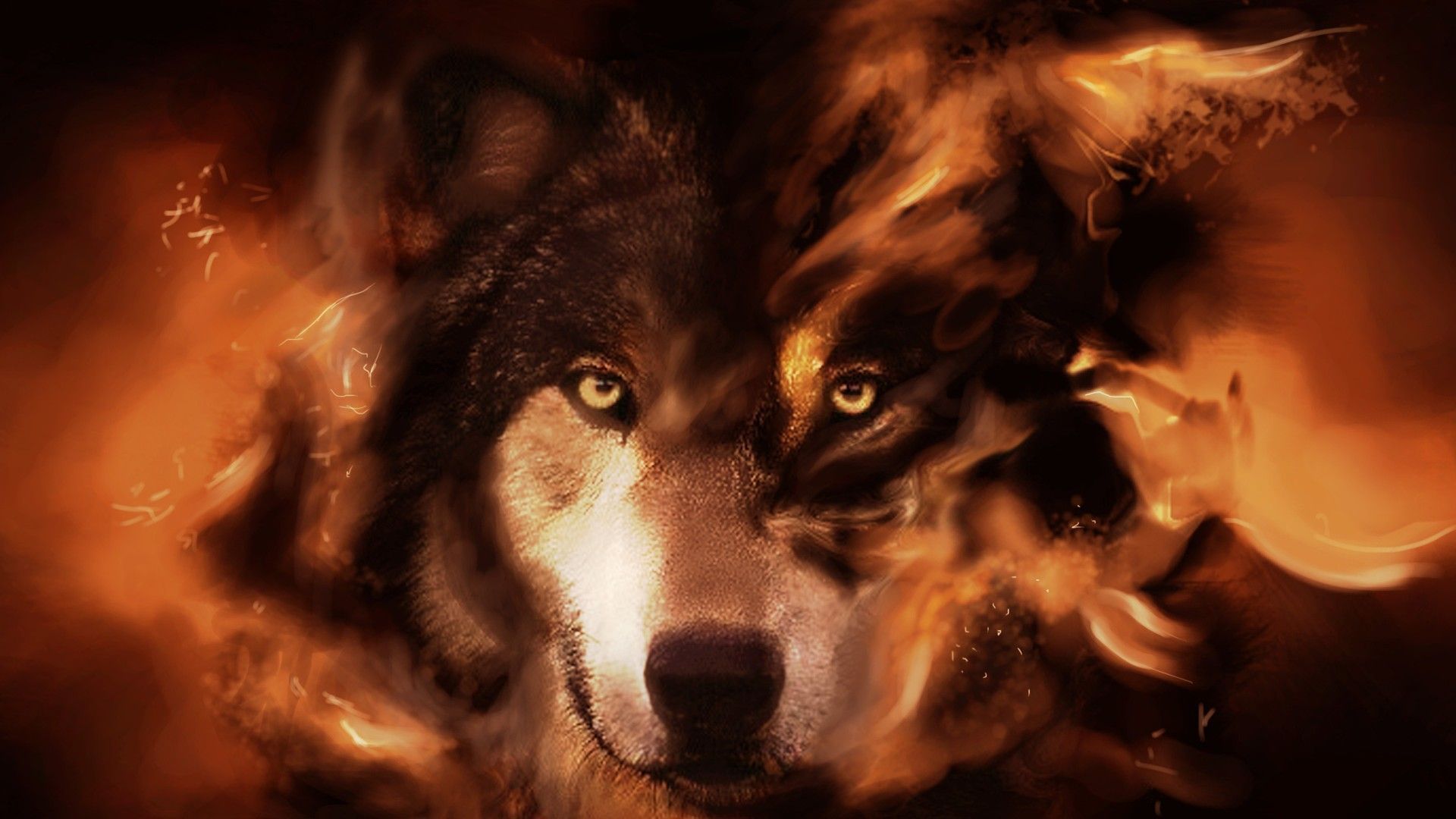 White Alpha Wolf Digital Art 41728 HD wallpaper  Pxfuel