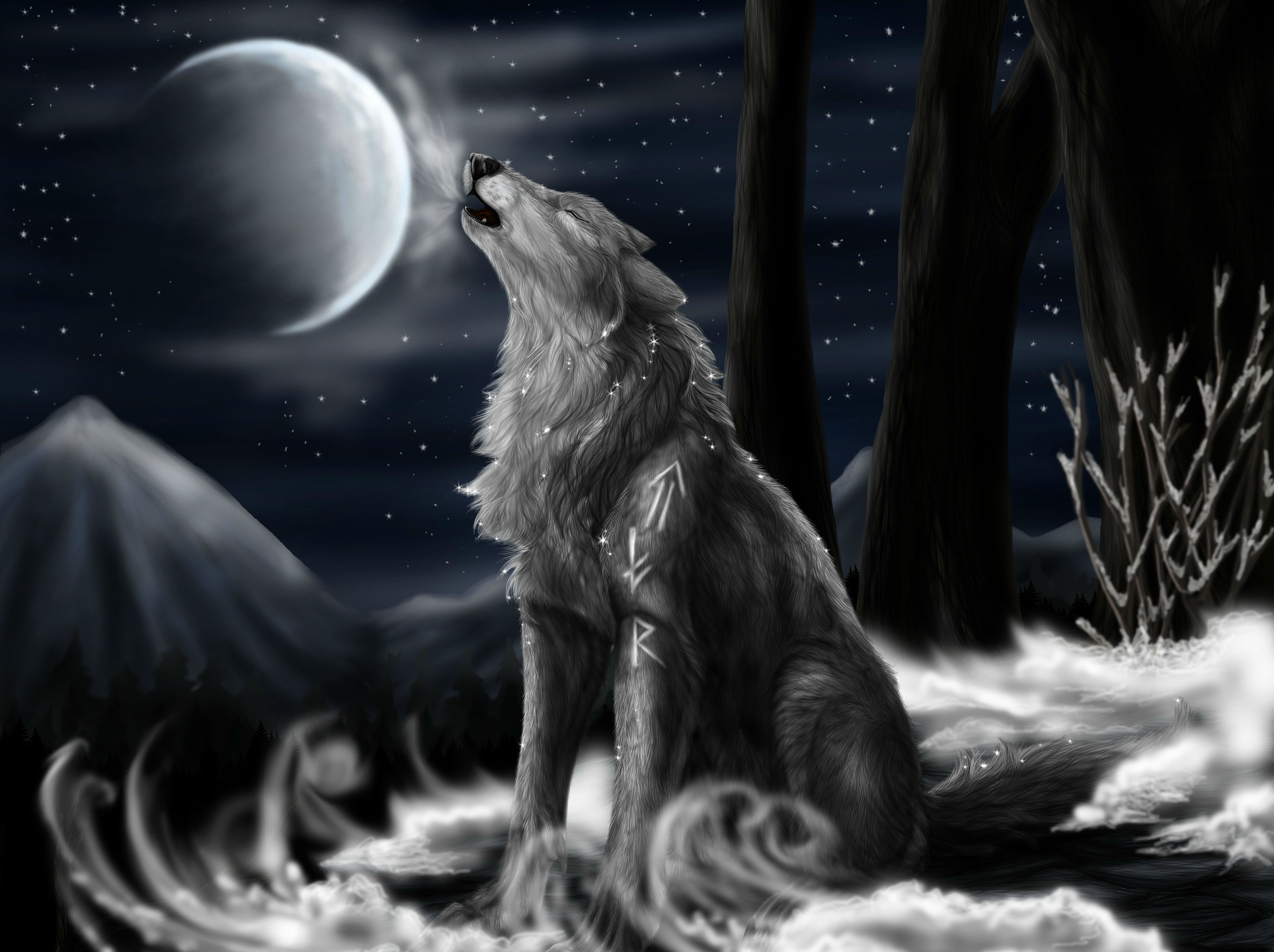 Wolf Backgrounds Free Download Wallpapers, Backgrounds, Images