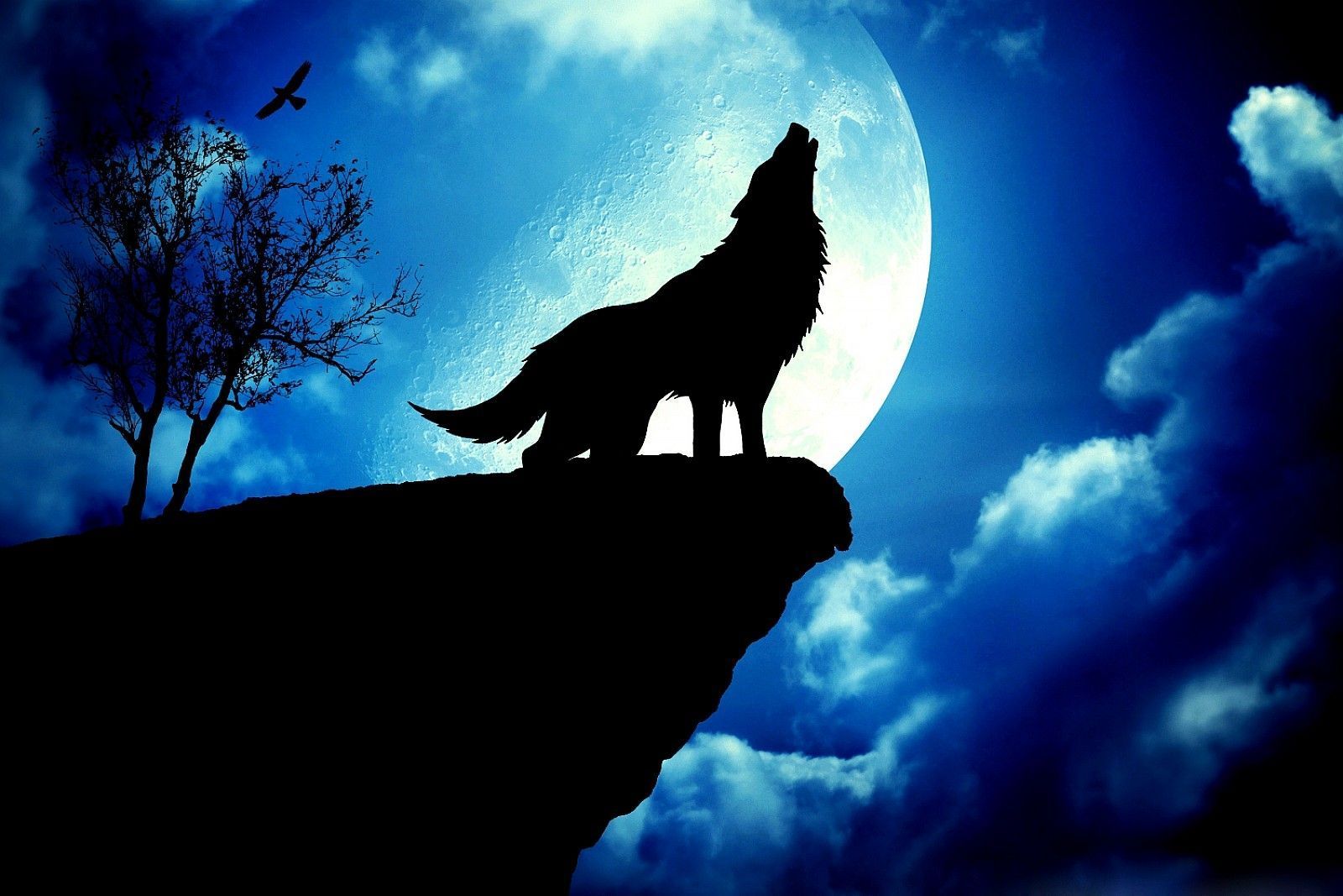 Download Wolf Howling At The Moon Image Desktop Backgrounds #yvv88