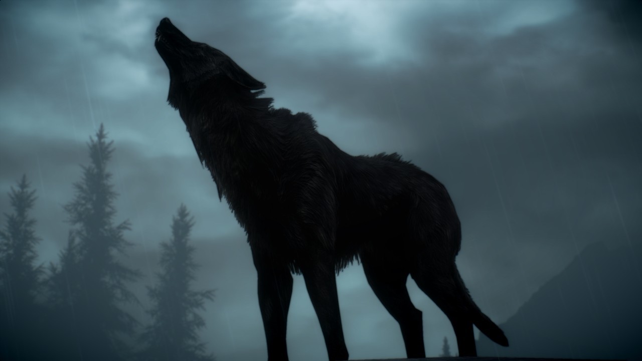 Wolf howls at the moon wallpapers and images - wallpapers