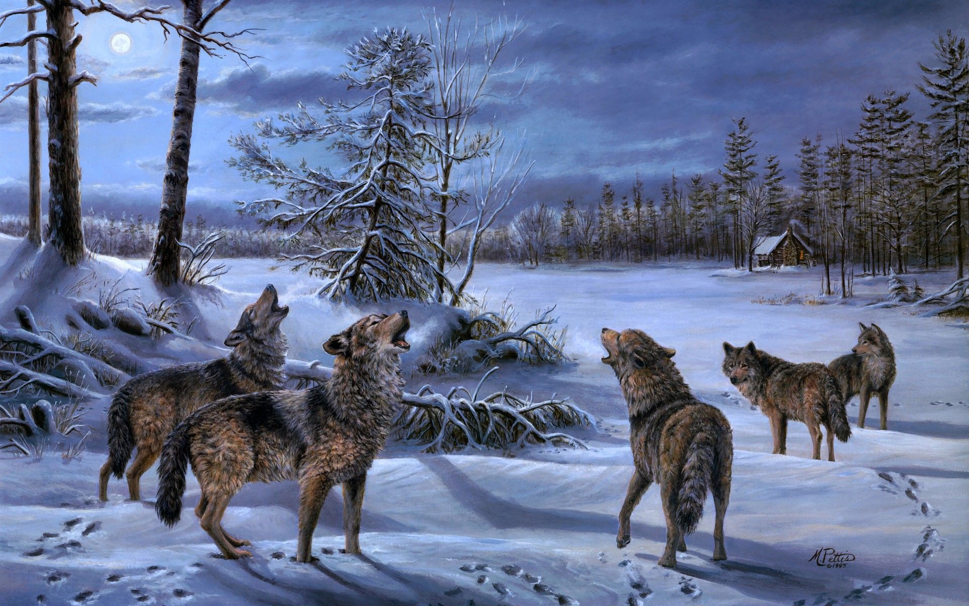A pack of wolves howling at the moon wallpapers and images