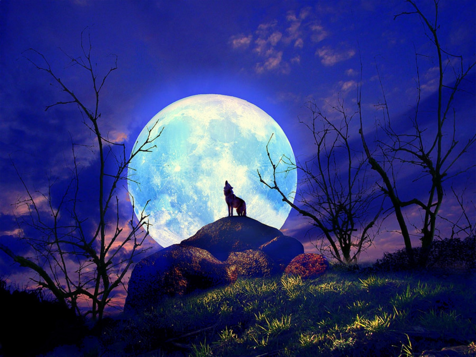 Jestingstock.com Wolf Howling At Full Moon Wallpaper