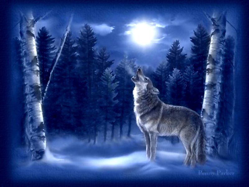 Wallpapers Sexy Girl Painting Chna Art Lone Wolf Blue Howling Moon