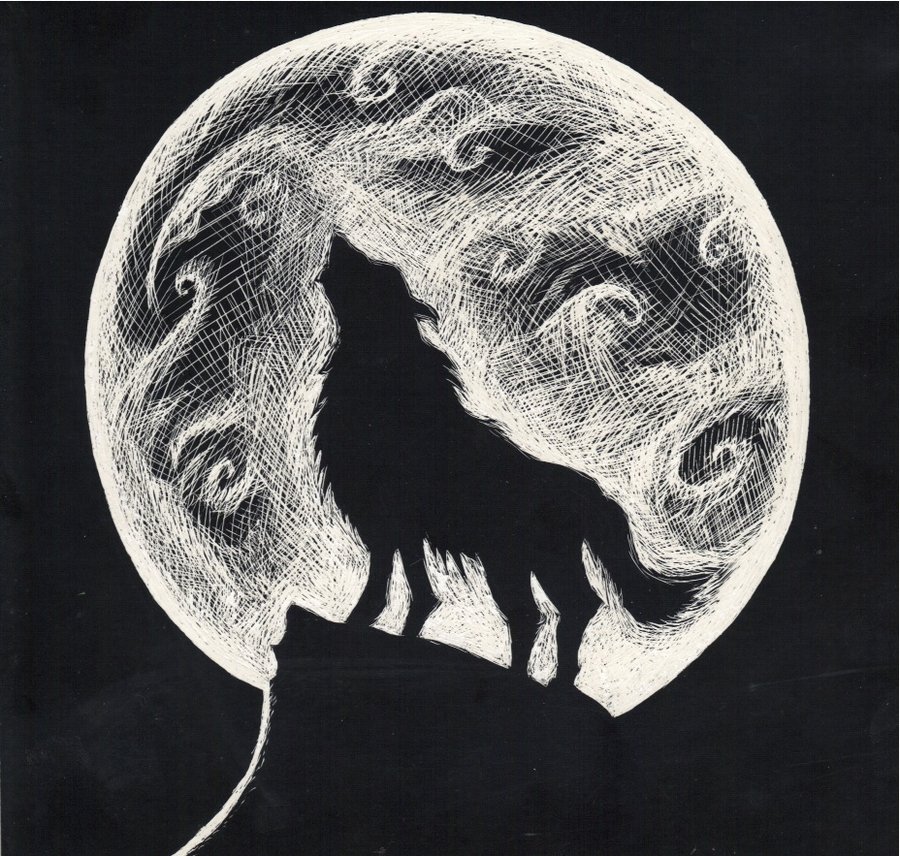 Wolf Howling at the Moon by CaylaLydon on DeviantArt