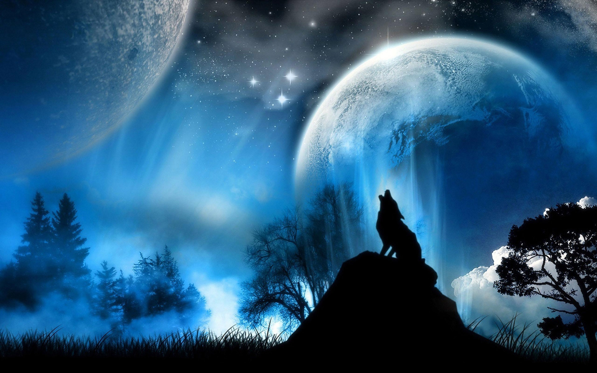 Wolf And Moon Wallpaper