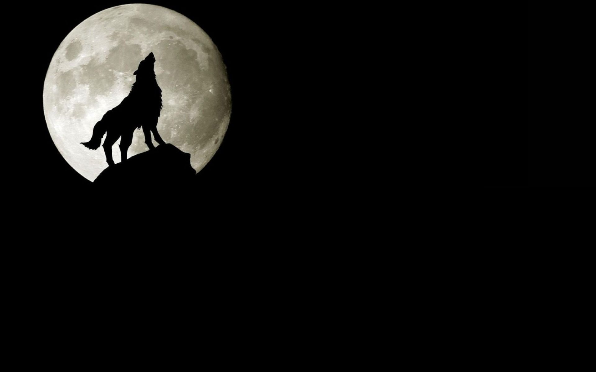 Howling Wolf Wallpapers - Wallpaper Cave