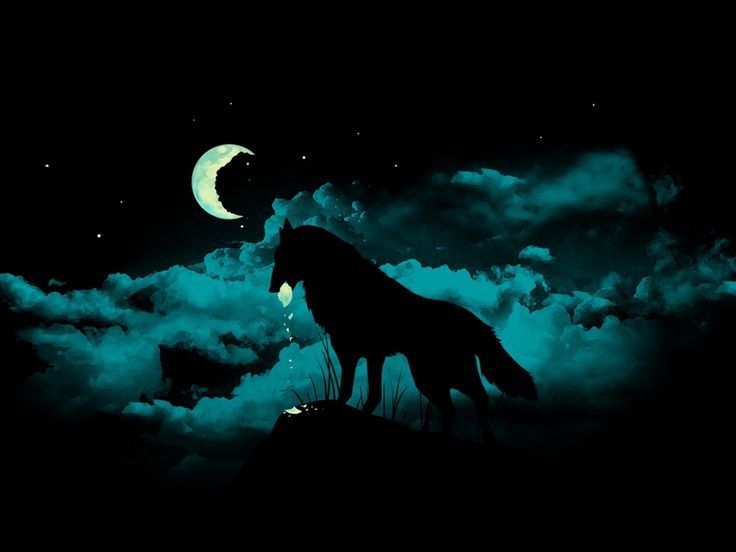 Cool purple wolves Homepage Wolf black wolf moon wallpaper