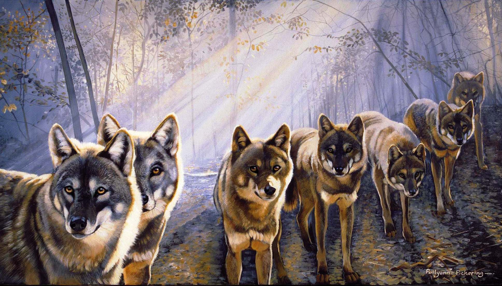 Wolf pack images free wallpaper
