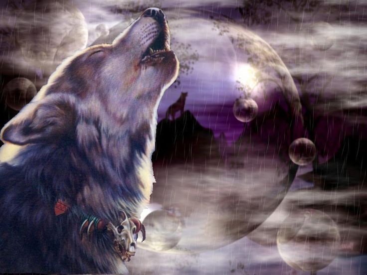 Wolf pics fantasy wolf spirit HD Wallpaper - Wild Animal