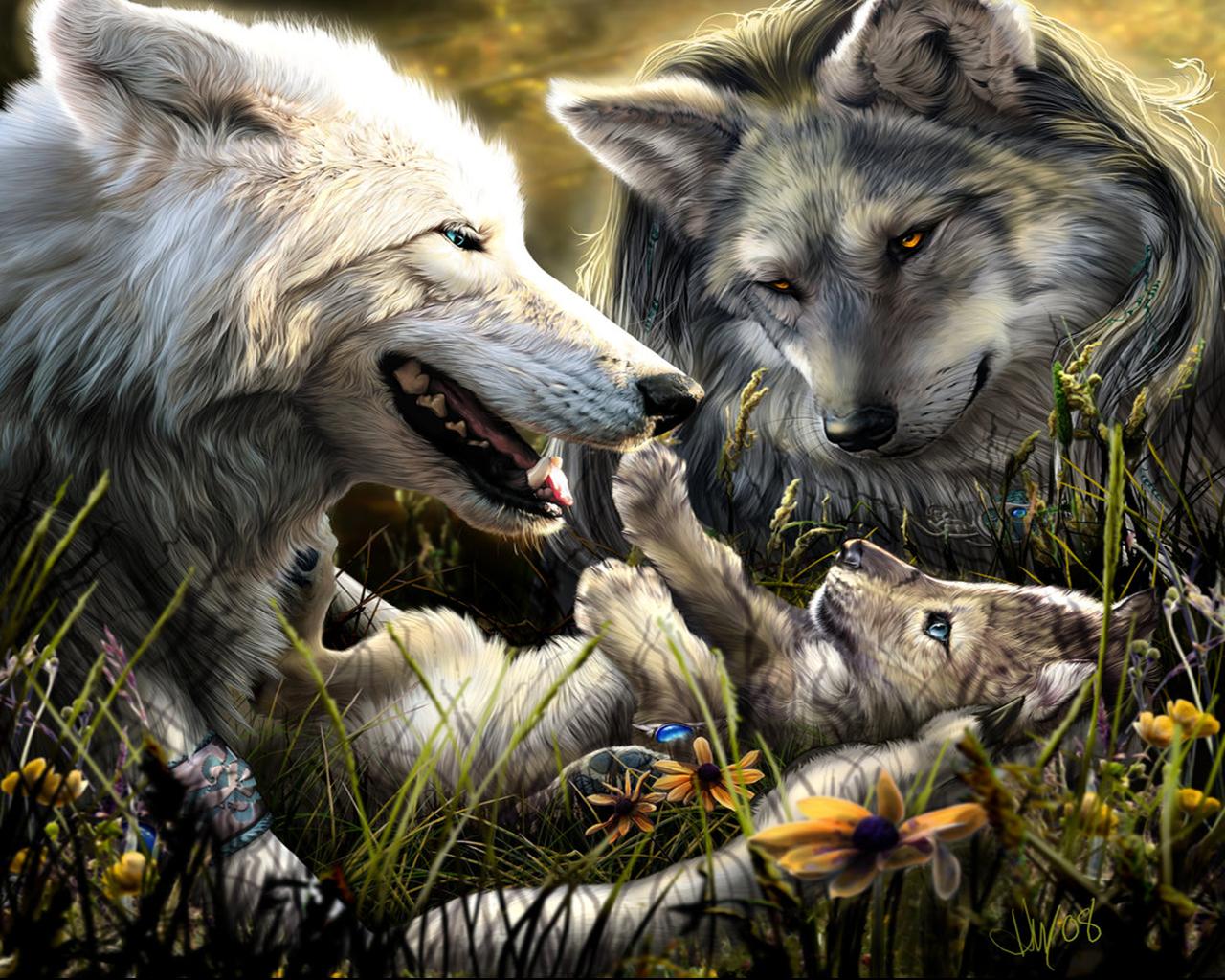 Hd grey wolf wallpapers download free wallpapers in hd for your