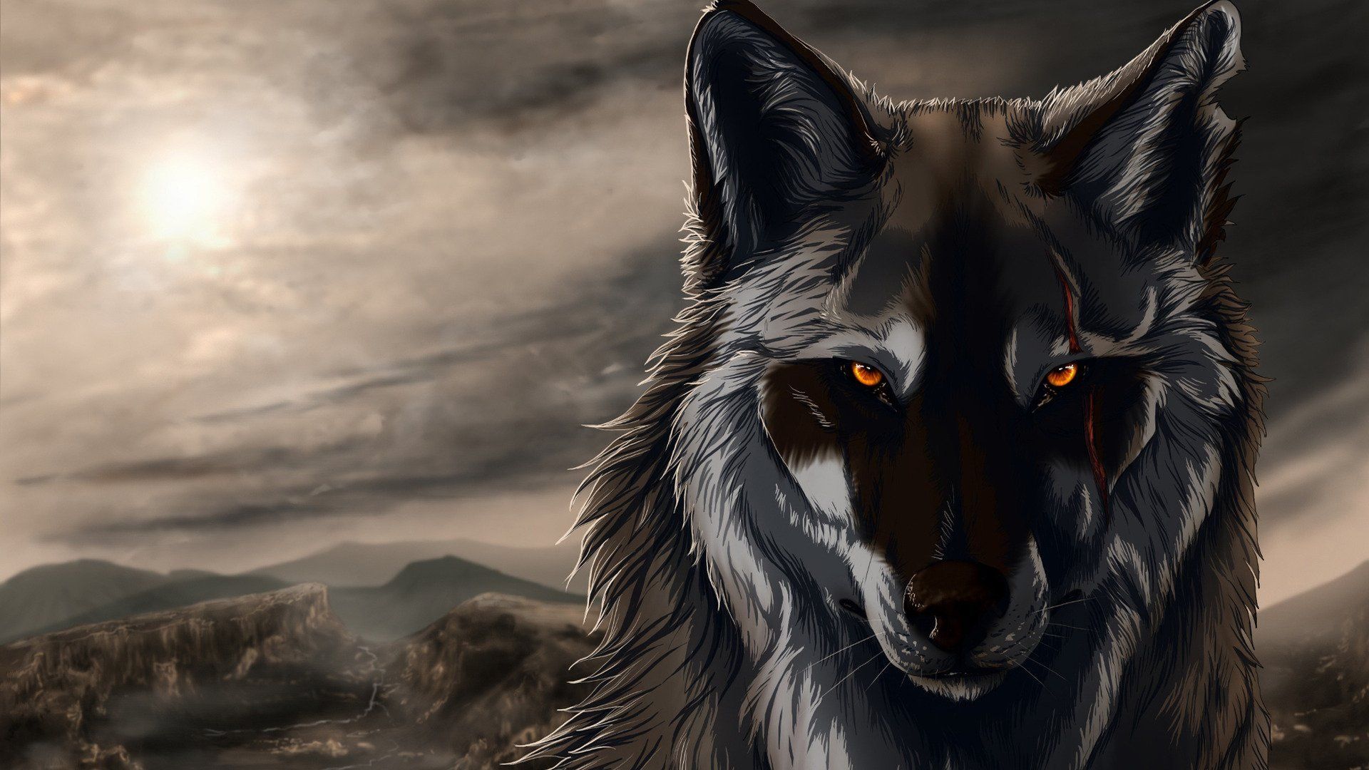 Wolf desktop hd wallpaper