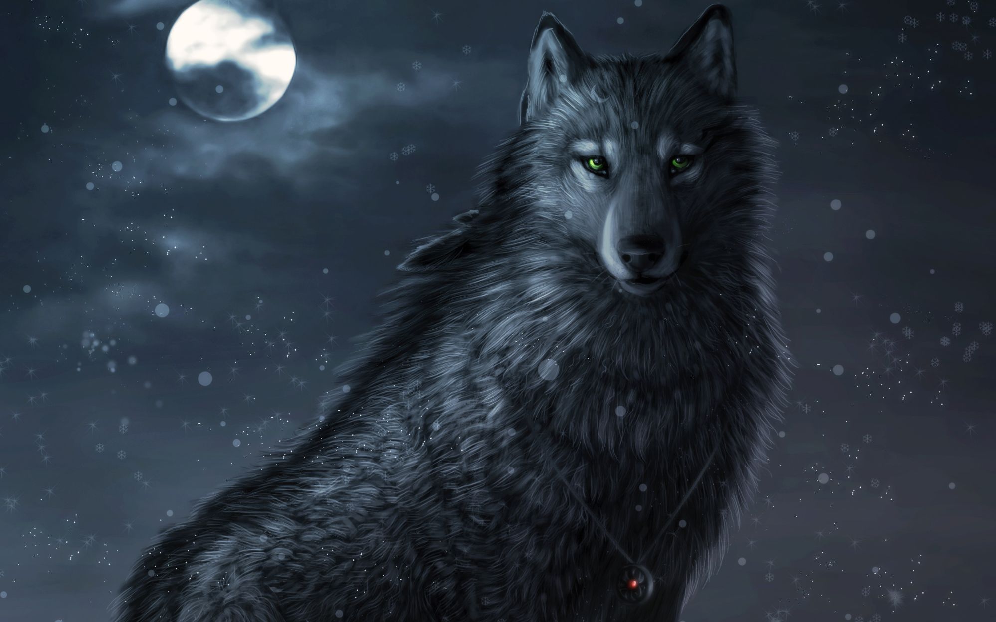 803 Wolf HD Wallpapers Backgrounds - Wallpaper Abyss -