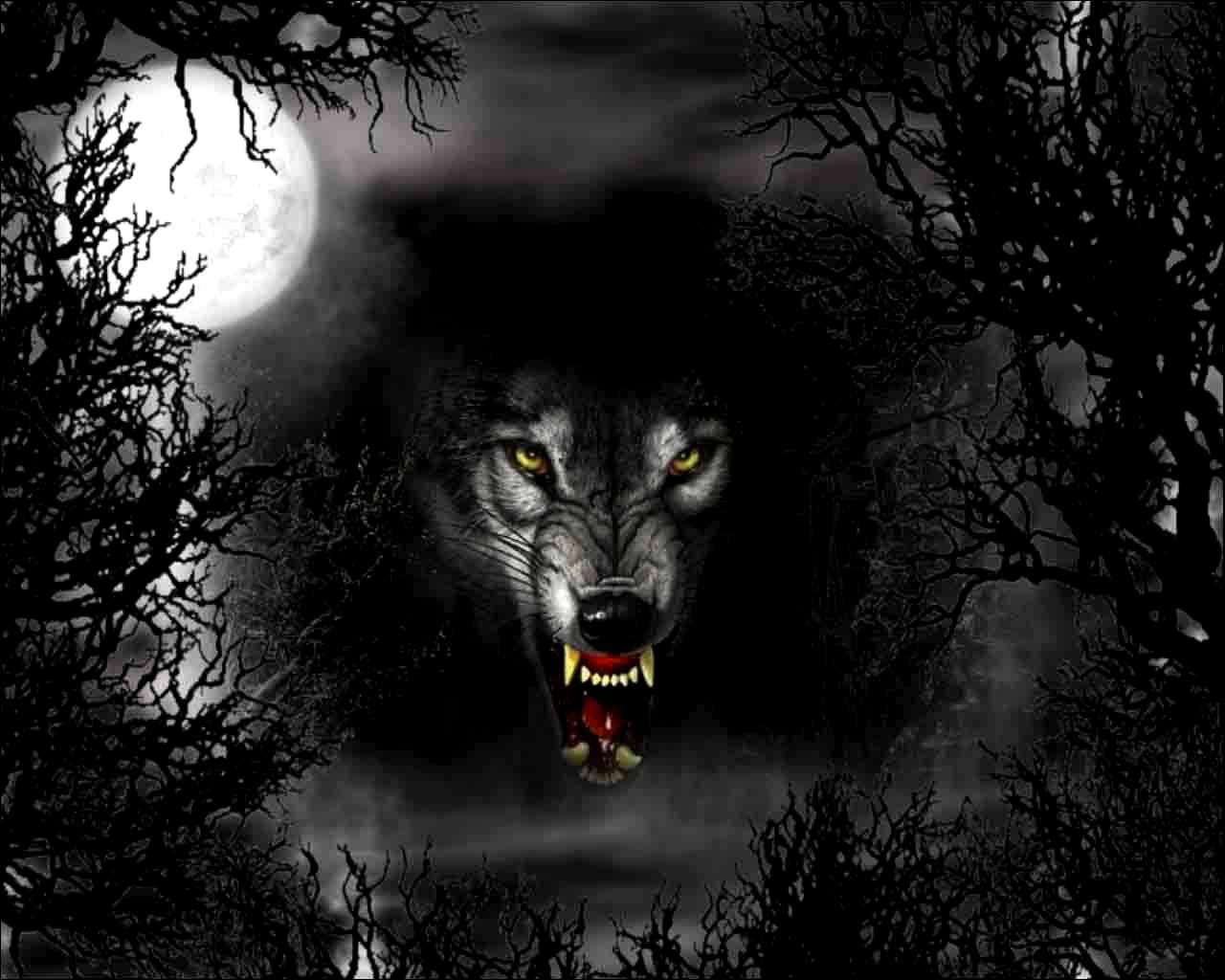 Dark Wolf Backgrounds