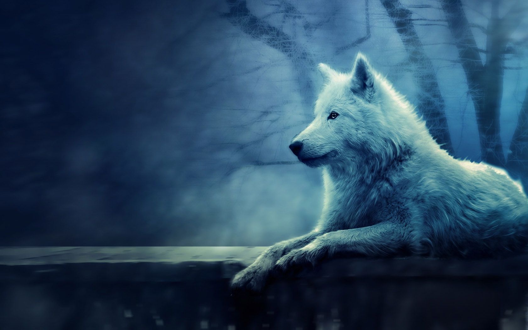 Wolves Backgrounds