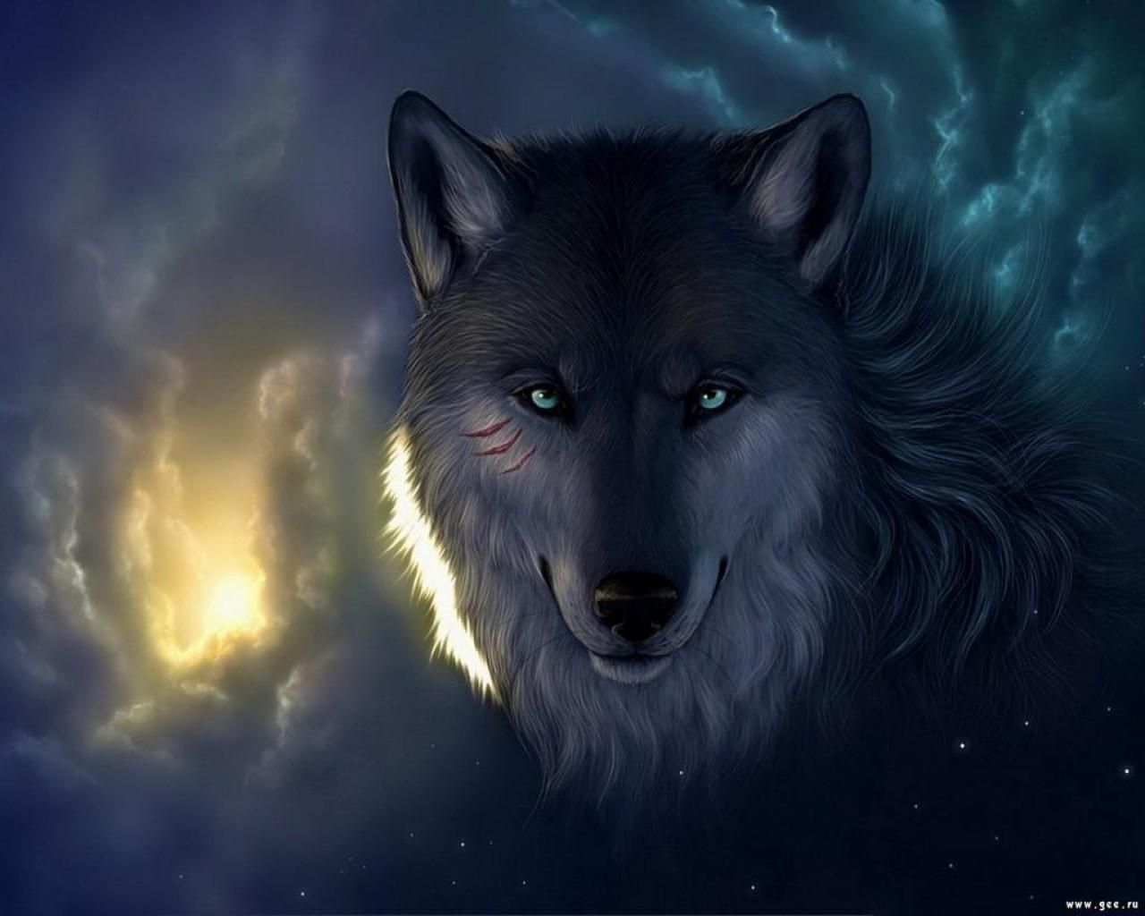 Gallery for - wild wolves wallpaper