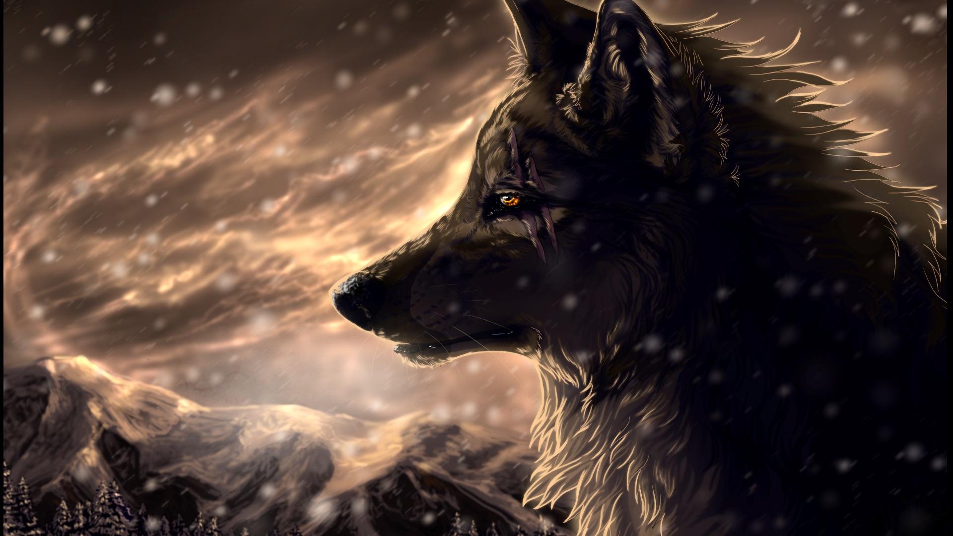 Wolves Full HD Widescreen wallpapers for desktop download