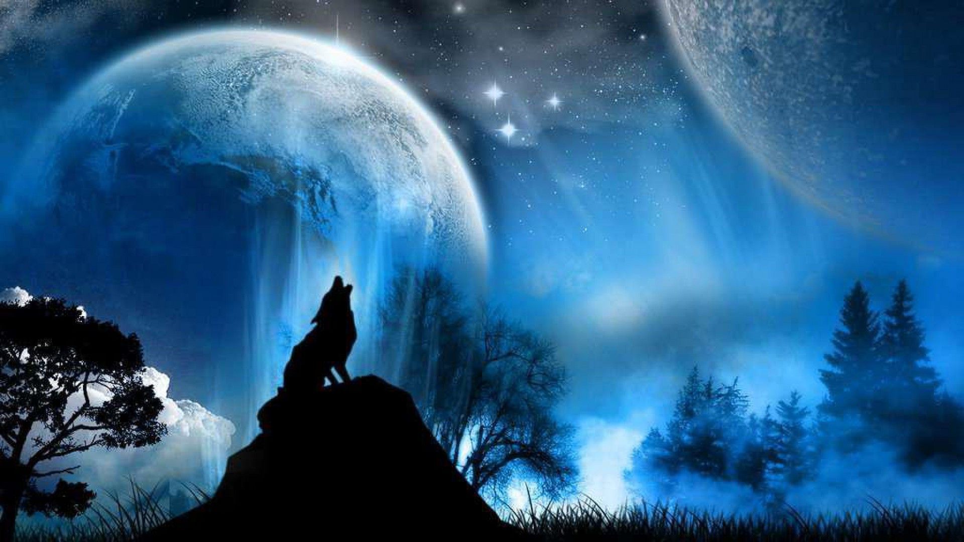 HD Wolf Backgrounds