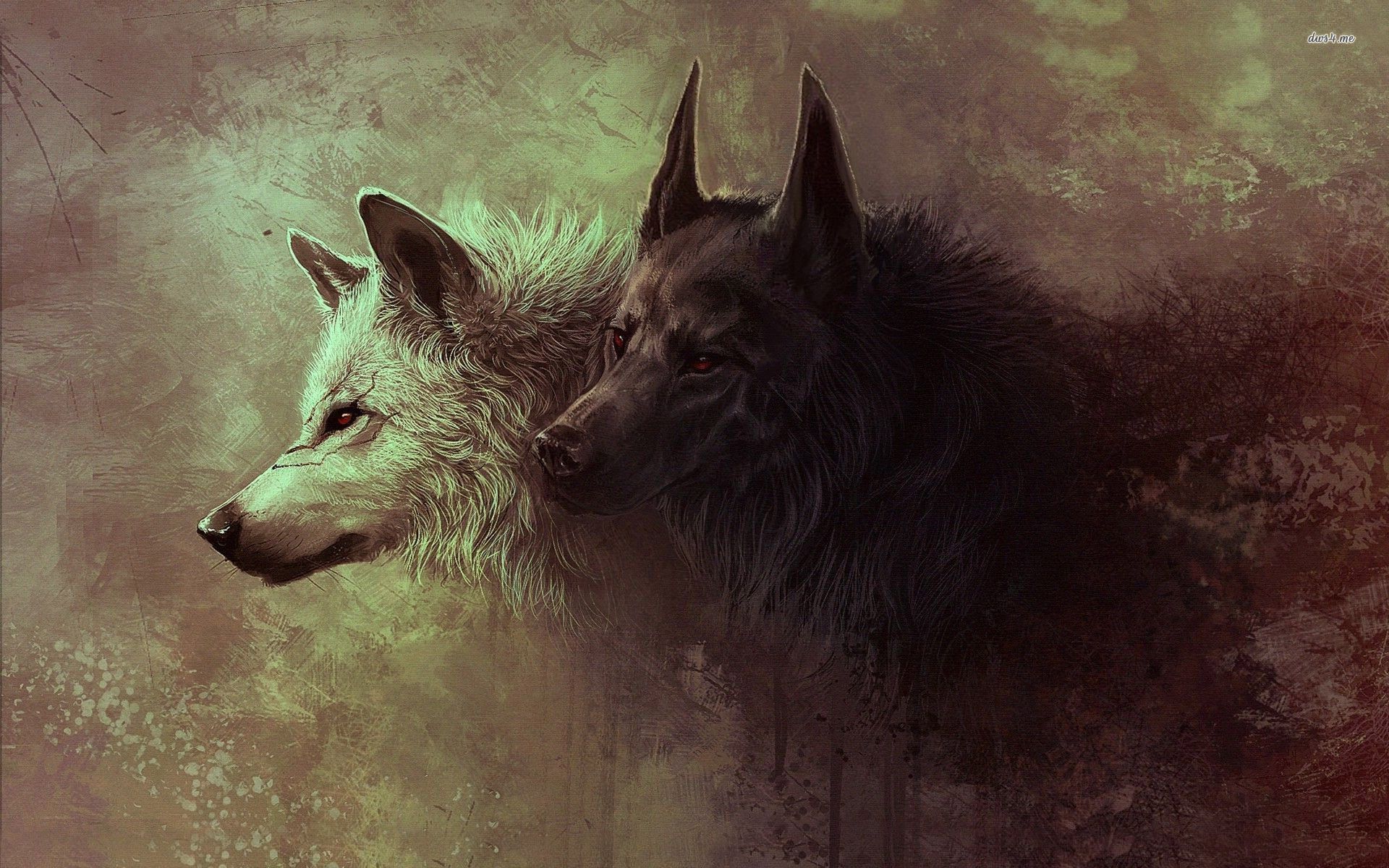 Black and white wolves wallpaper - Artistic wallpapers -