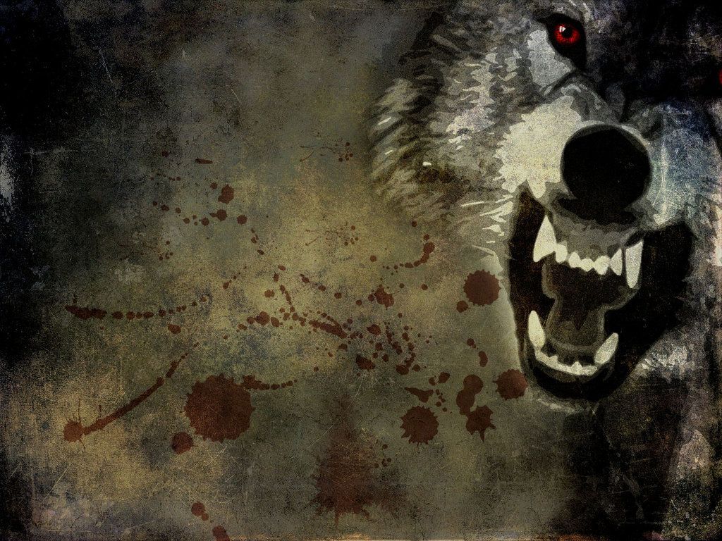 Angry Wolf Pictures - HD Wallpapers Pretty